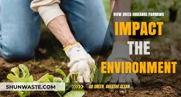 Organic Farming's Environmental Impact: Benefits, Challenges, and Sustainable Practices