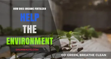 Organic Fertilizer: A Sustainable Solution for Environmental Health and Soil Vitality