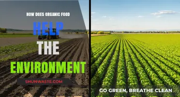 Organic Food's Environmental Impact: Sustainable Farming for a Greener Planet