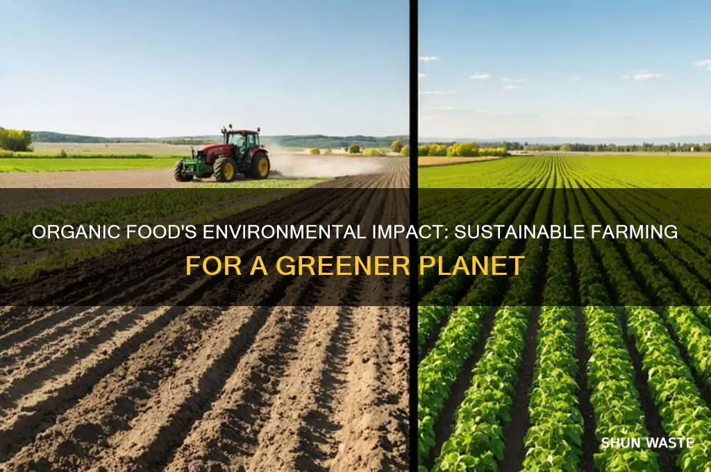 how does organic food help the environment
