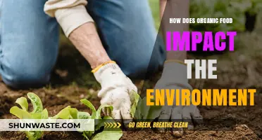 Organic Food's Environmental Impact: Sustainable Farming for a Greener Future