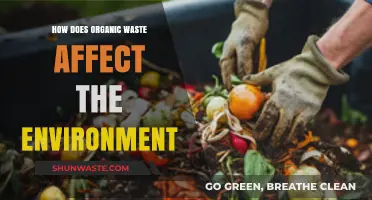 Organic Waste's Environmental Impact: Challenges and Sustainable Solutions Explored