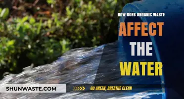 Organic Waste's Impact on Water Quality and Ecosystems Explained