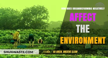Organic Farming's Hidden Costs: Environmental Impacts and Sustainability Challenges