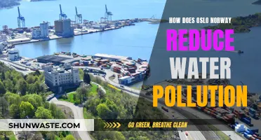 Oslo's Water Pollution Reduction: Strategies and Successes