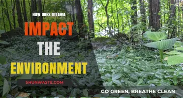 Ottawa's Environmental Footprint: Policies, Practices, and Sustainability Efforts