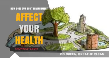 Built Environment's Impact: Shaping Health, Well-being, and Daily Life