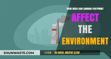 Carbon Footprint Impact: Unveiling Environmental Consequences and Sustainable Solutions