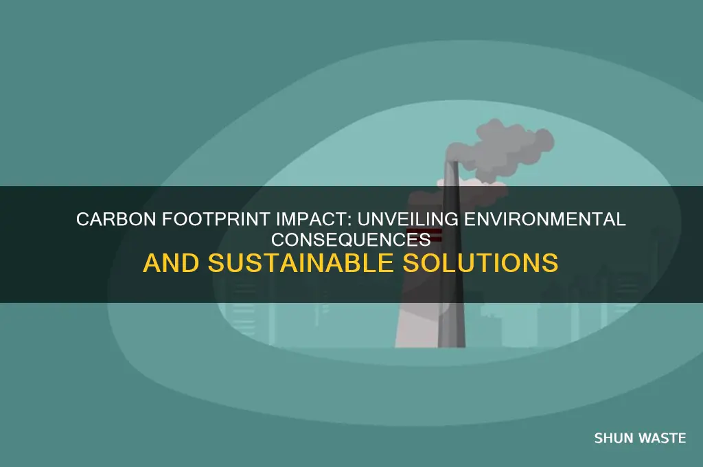 how does our carbon footprint affect the environment
