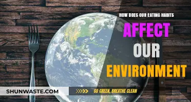 Sustainable Plates: How Eating Habits Shape Our Environment's Future