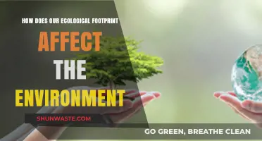 Ecological Footprint Impact: How Our Actions Shape the Environment