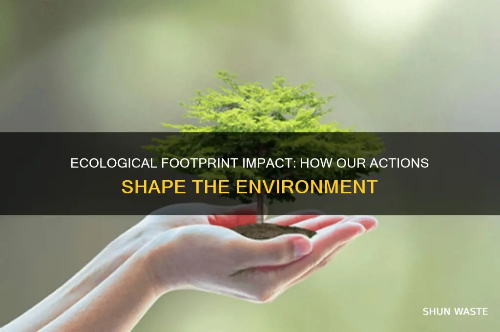 how does our ecological footprint affect the environment