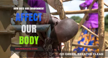 Environmental Influences: How Surroundings Shape Our Physical and Mental Health