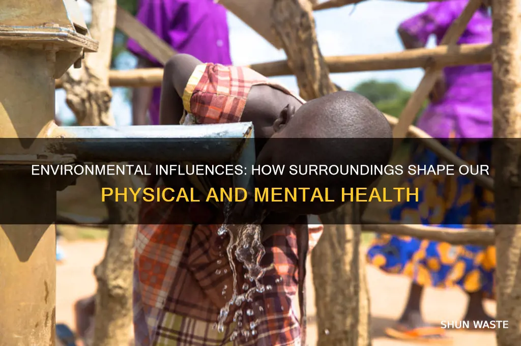 how does our environment affect our body