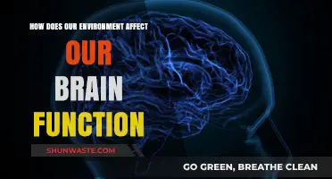 Environment's Impact: Shaping Brain Function and Cognitive Health