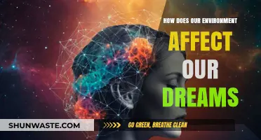 Environmental Influences: Shaping Our Dreamscapes and Nighttime Narratives