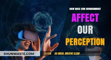 How Our Surroundings Shape the Way We Perceive Reality