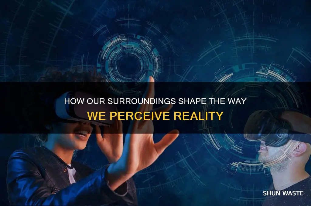 how does our environment affect our perception