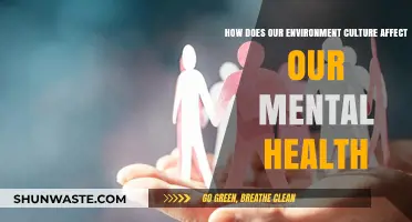 Cultural Surroundings: Shaping Mental Health and Emotional Well-Being