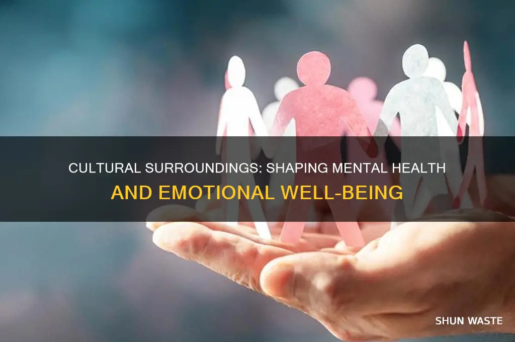 how does our environment culture affect our mental health