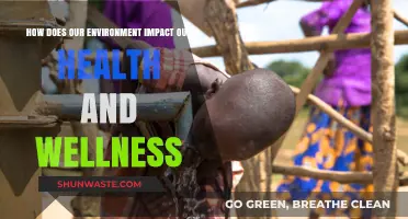 Environment's Role: Shaping Health, Wellness, and Our Daily Lives