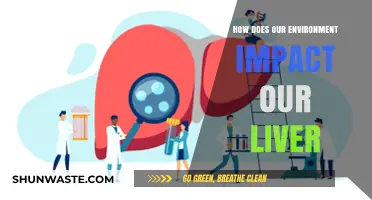 Environmental Toxins and Liver Health: Uncovering Hidden Connections and Risks