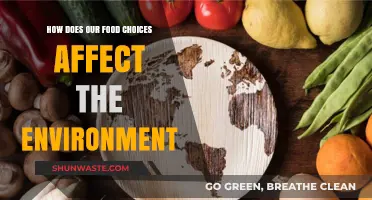 Sustainable Eating: How Food Choices Shape Our Planet's Future
