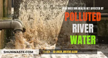 River Pollution: Health Hazards and Water Safety