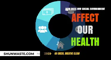 Social Surroundings, Health Impacts: Unraveling the Mind-Body Connection