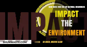 Sustainable Choices: How Natural Resource Use Shapes Our Environment