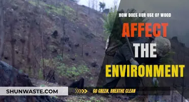 Wood's Environmental Impact: Sustainable Practices vs. Deforestation Concerns