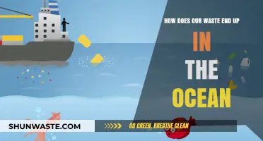 From Land to Sea: Tracing the Journey of Our Ocean-Bound Waste