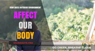 Nature's Impact: How Outdoor Environments Shape Our Physical and Mental Health