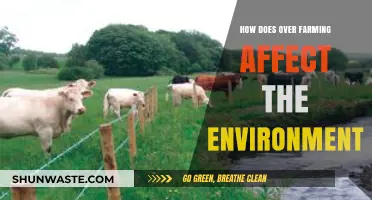 Over Farming's Environmental Impact: Soil, Water, and Biodiversity at Risk
