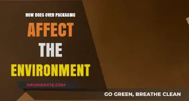 Over Packaging's Environmental Impact: Unwrapping the Hidden Ecological Costs