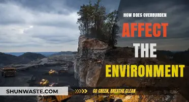 Overburden's Environmental Impact: Soil, Water, and Ecosystem Consequences Explained