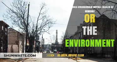 Overburden's Hidden Toll: Human Health and Environmental Consequences Explored