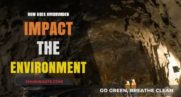 Overburden's Environmental Toll: Soil, Water, and Ecosystem Degradation Explained