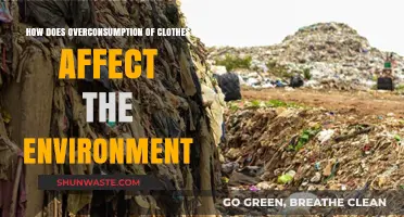 Overconsumption of Clothes: Environmental Impact and Sustainable Fashion Solutions