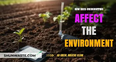 Overcropping's Environmental Impact: Soil Degradation, Biodiversity Loss, and Ecosystem Disruption