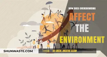 Overcrowding's Environmental Impact: Consequences for Ecosystems and Sustainability