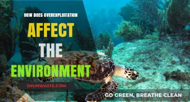 Overexploitation's Devastating Impact: How Resource Depletion Harms Our Fragile Ecosystems