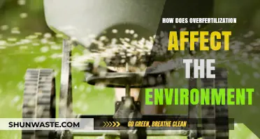 Overfertilization's Environmental Impact: Soil, Water, and Ecosystem Consequences Explained
