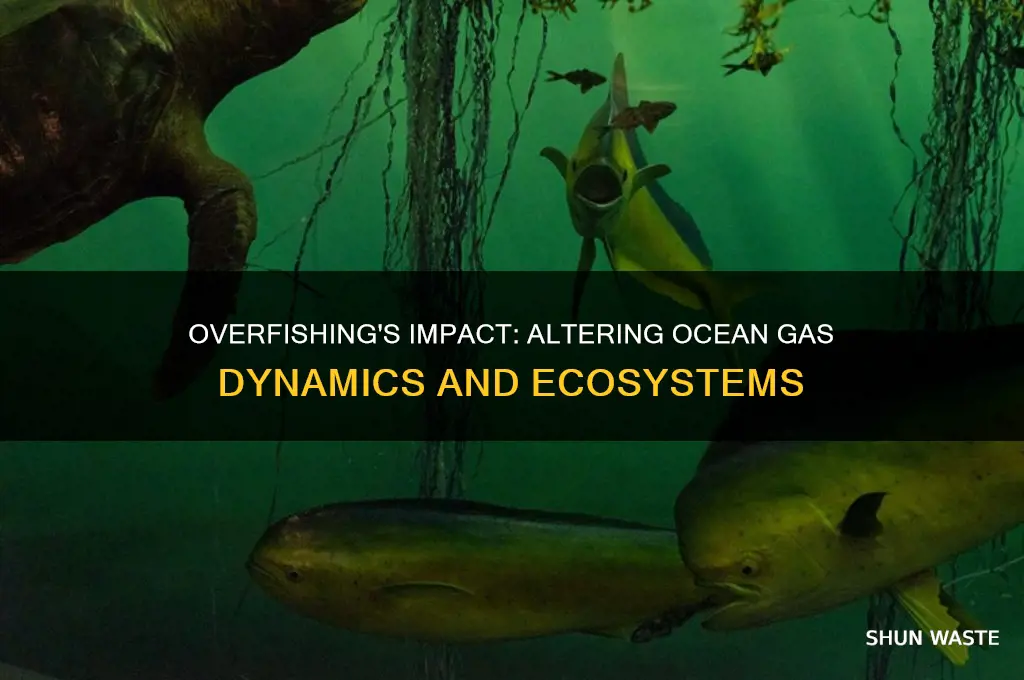how does overfishing affect gasses in the ocean environment