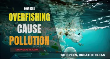 Overfishing's Impact: From Fish to Pollution