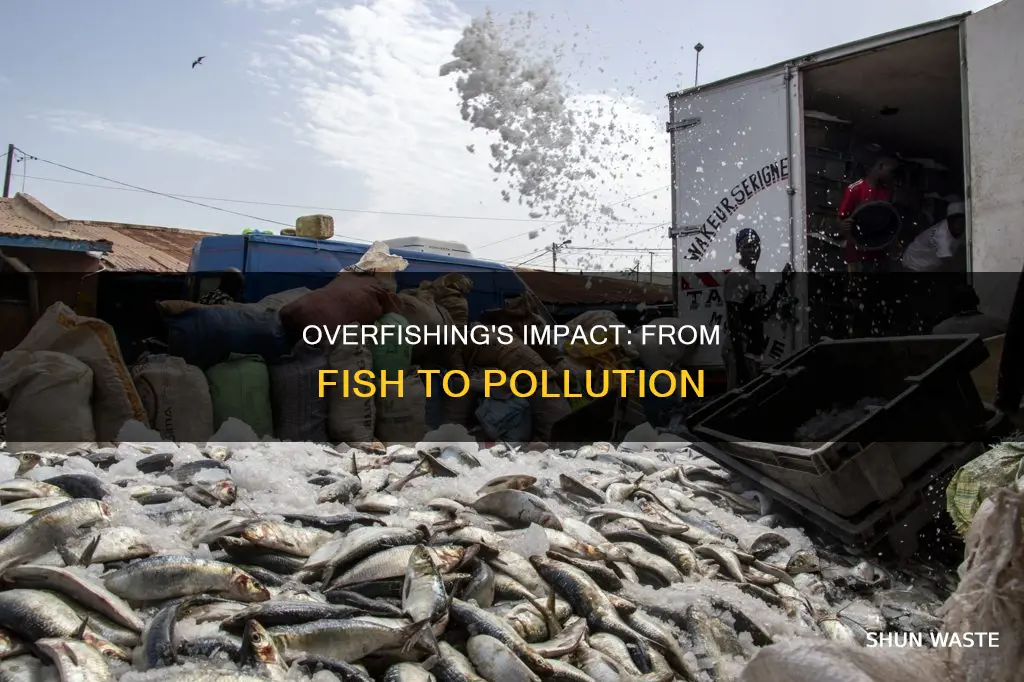 how does overfishing cause pollution