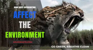 Overhunting's Devastating Impact: How It Disrupts Ecosystems and Biodiversity