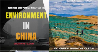 China's Overpopulation Crisis: Environmental Impacts and Sustainability Challenges