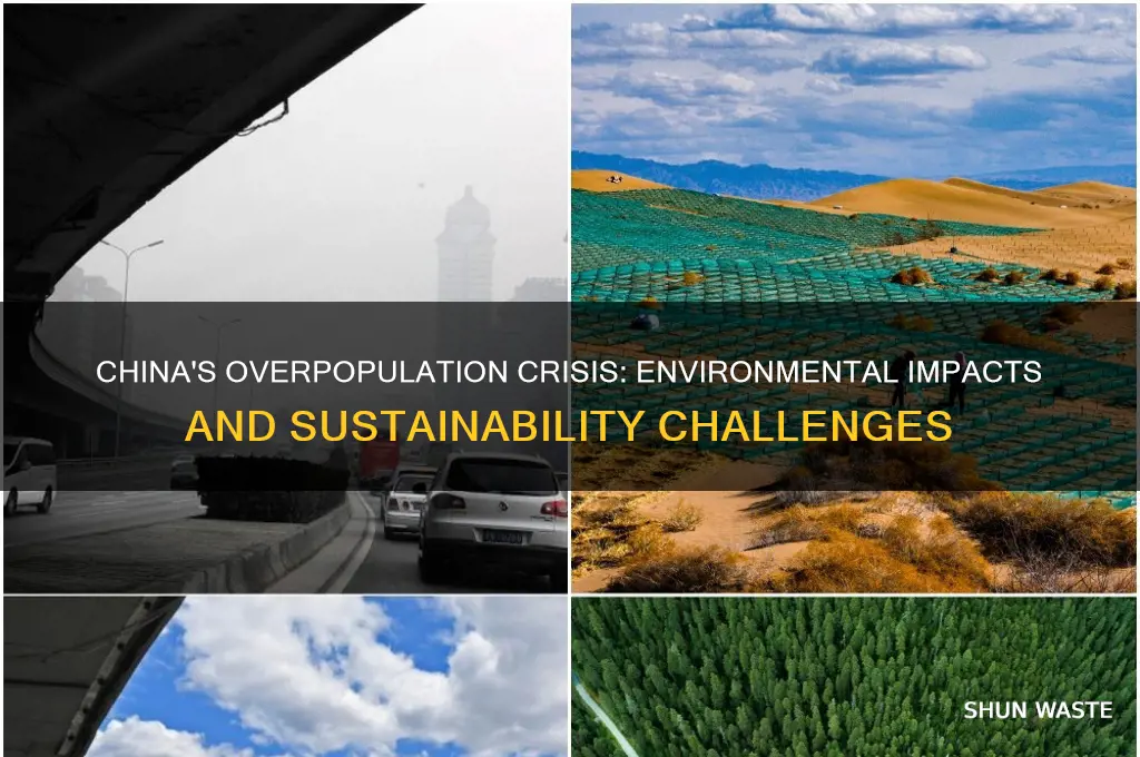 how does overpopulation affect the environment in china