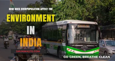 Overpopulation's Impact: India's Environment Faces Strain and Sustainability Challenges